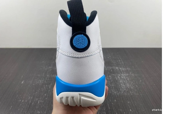  302370-103 Jordan  302370-103 9 Powder Retro 1227